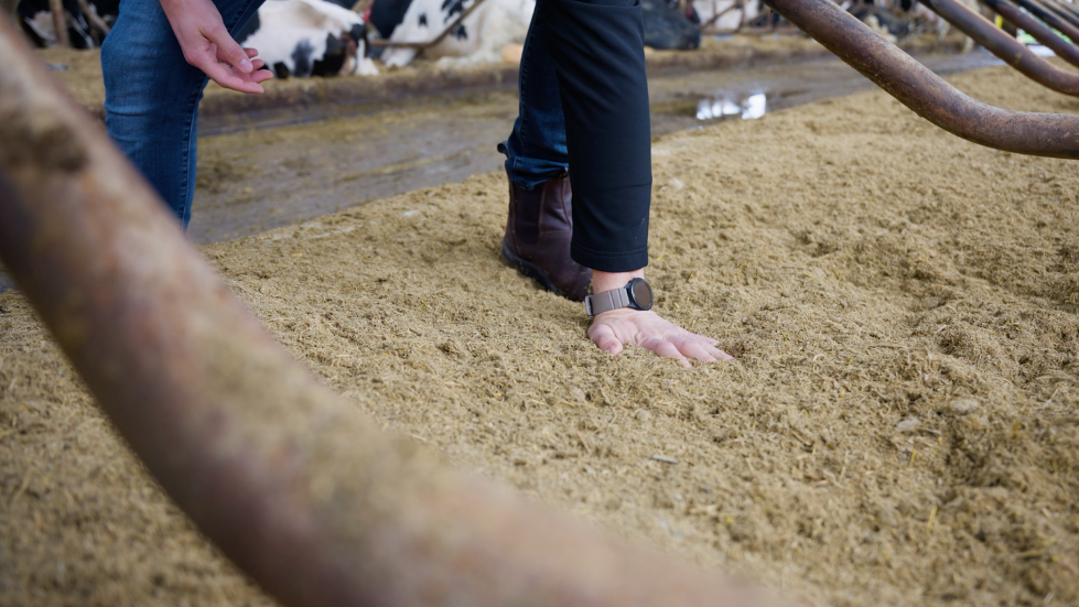 hand in vlas-kalk mengsel