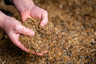 Inloopmiddag Romme met Berg PotstalmixFX