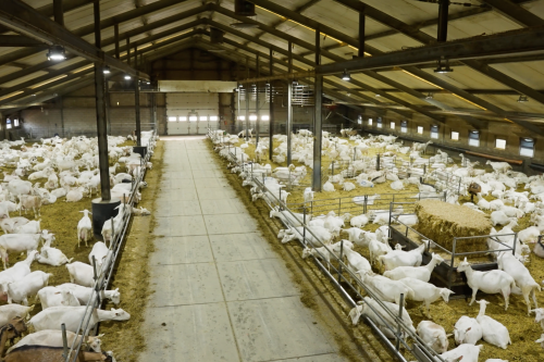 Zonder titel (1500 x 1000 px) (1).png