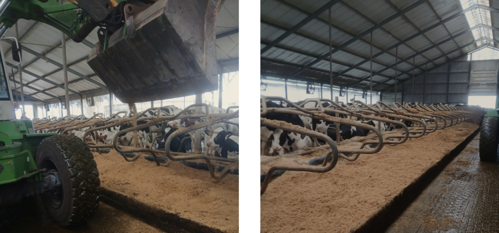 Tussenbanner kalkblog(s) breed nieuwe fotos maart