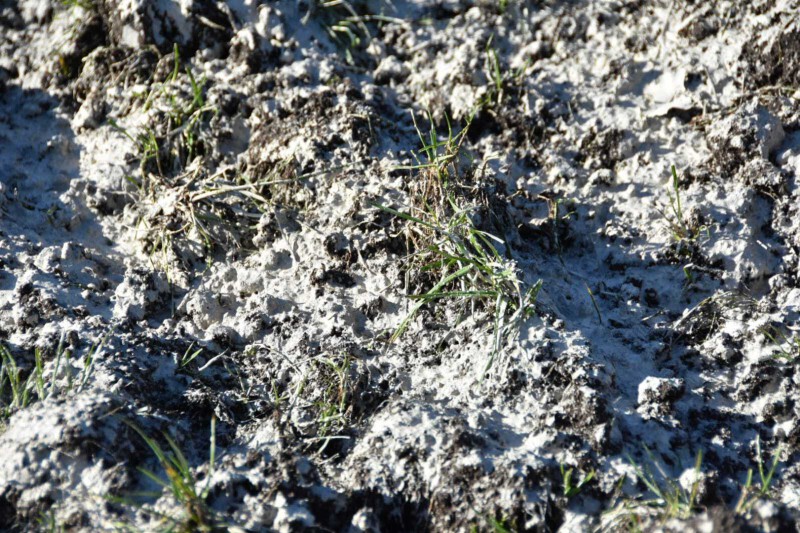 Nieuwe krijtsoorten | Berg Fourage