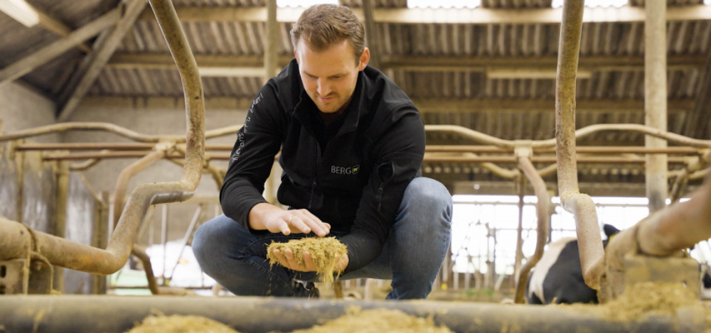 Henry met strooisel in hand, gehurkt bij een diepstrooiselbox