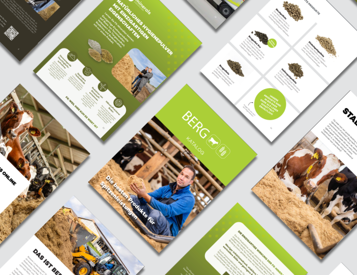 Header nieuwsbrief.png